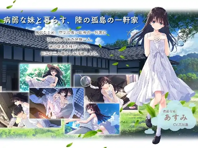 图片[1]-PC电脑[爆款RPG/中文/全CV]痴情哥哥与病弱妹妹的乡间生活-大壮社区
