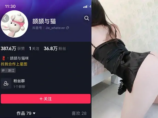 抖音 颉颉与猫  NO.005期 【3P8V】-大壮社区