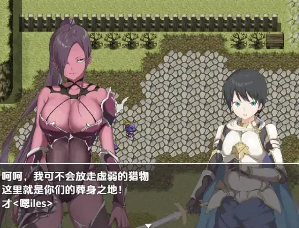 图片[8]-安卓+电脑【RPG/开大车/后宫】零容忍勇者～在拯救世界前与姐姐们达到高潮-大壮社区