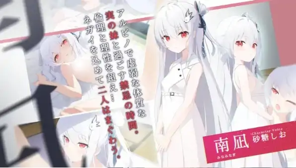 图片[3]-安卓+电脑【ADV/CV/兄妹/纯爱】 只愿 カタネガイ V1.03-大壮社区