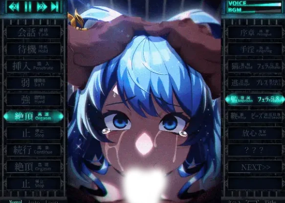图片[5]-安卓+电脑【爆款SLG/全动态】惩罚少女R おしおき娘々R Ver1.3 CG视频-大壮社区
