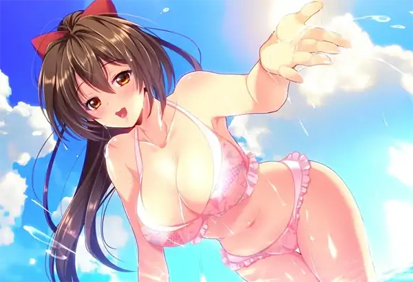 图片[10]-安卓+电脑【爆款RPG 全CV NTR】圣光闪姬波尼塞蕾丝 Joi模拟器-大壮社区