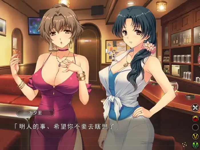 [人妻SLG/CV/]妻中蜜 3部合集+动画-大壮社区