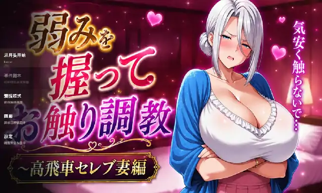 PC电脑【日系SLG/触摸/NTR】掌握弱点后抚摸调教.高傲贵妇篇 v0527骑-大壮社区