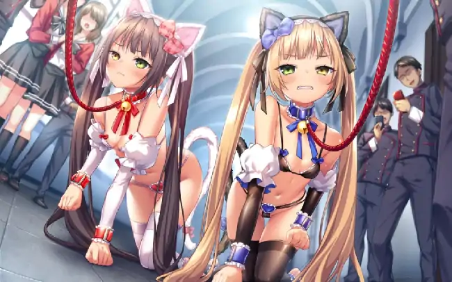 PC电脑【ADV/调教/CV】圣奴隶学院2完全调教 v1.0.0骑-大壮社区